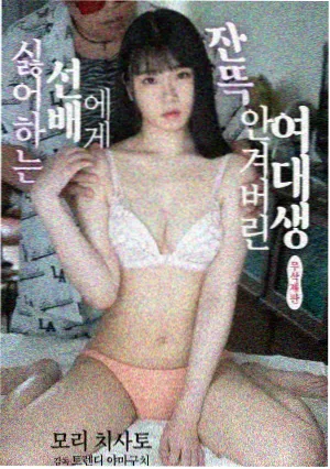 长夜列车剧集封面